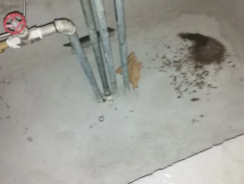 龙山卫生间测漏水价格明细