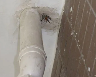 龙山漏水检测哪家好